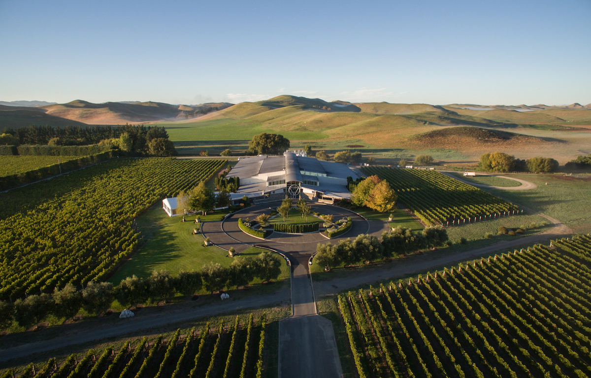 Sileni Vineyard, Hawkes Bay wine Book