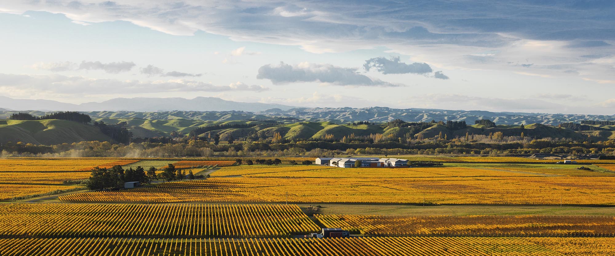 Gimblett Gravels Panoramic