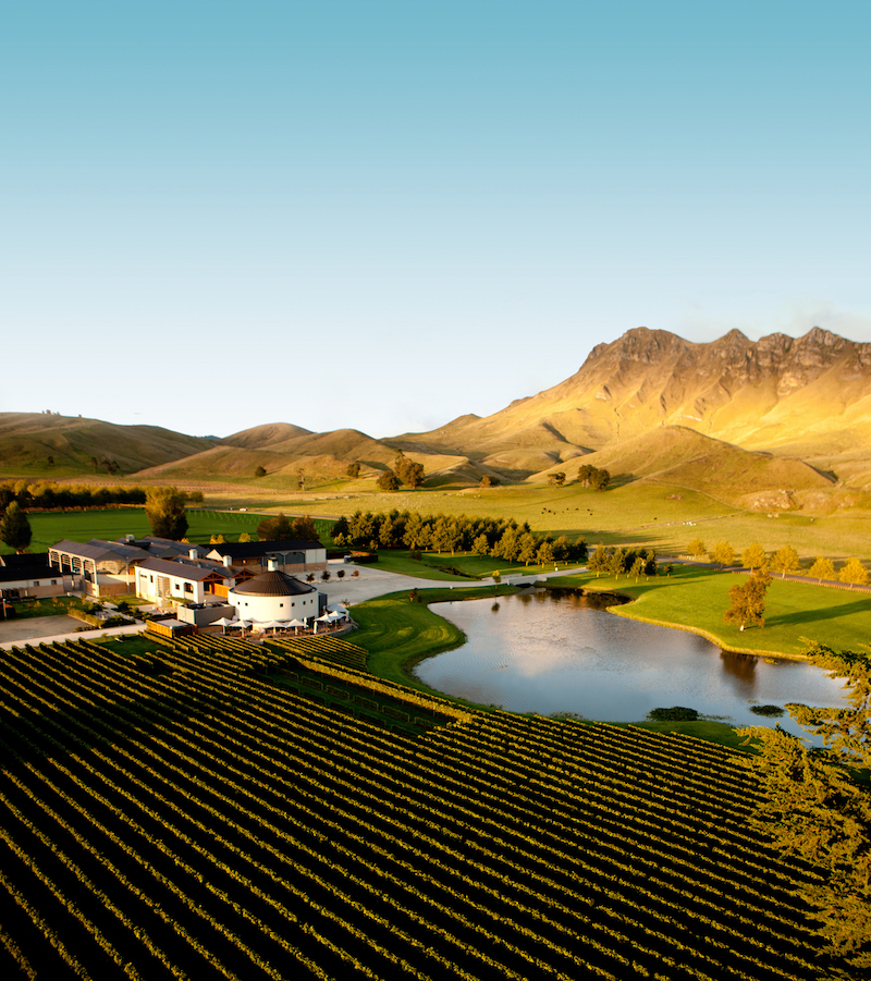 Aerial - Giants Winery Te Mata Peak