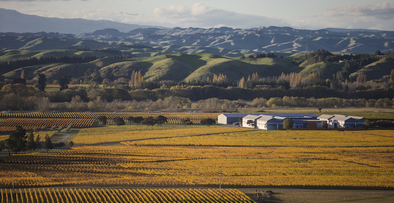 Gimblett Gravels Winery Autumn