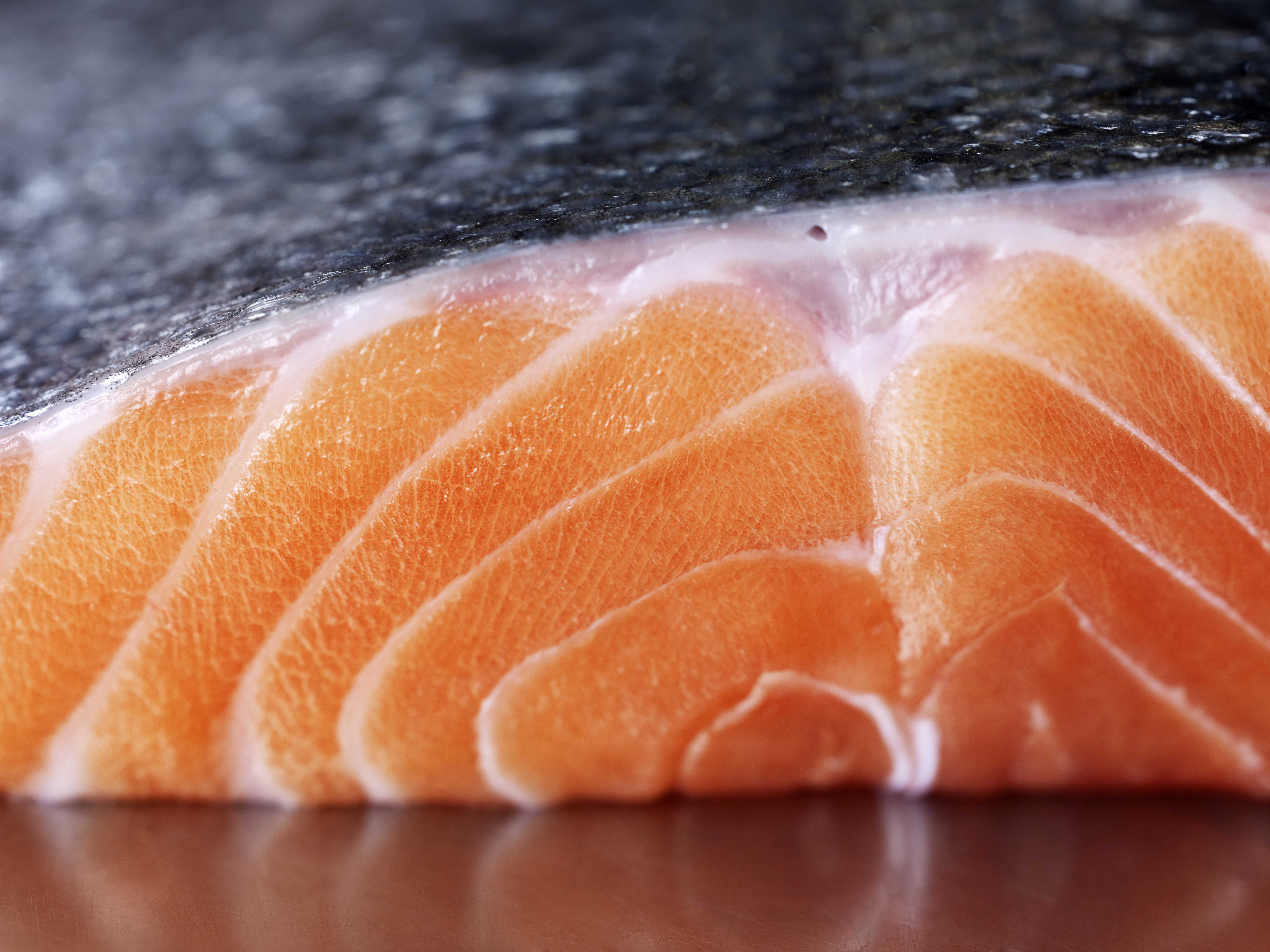 MtCookSalmon-2770