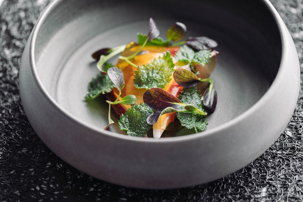 RC NEWS THE EVOLUTION OF SIDART 0718 7