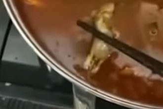 CHINESE RESTAURANT CHAIN LOSES $190M