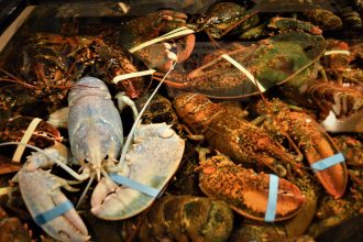 MARIJUANA USED IN STEAMING LOBSTERS