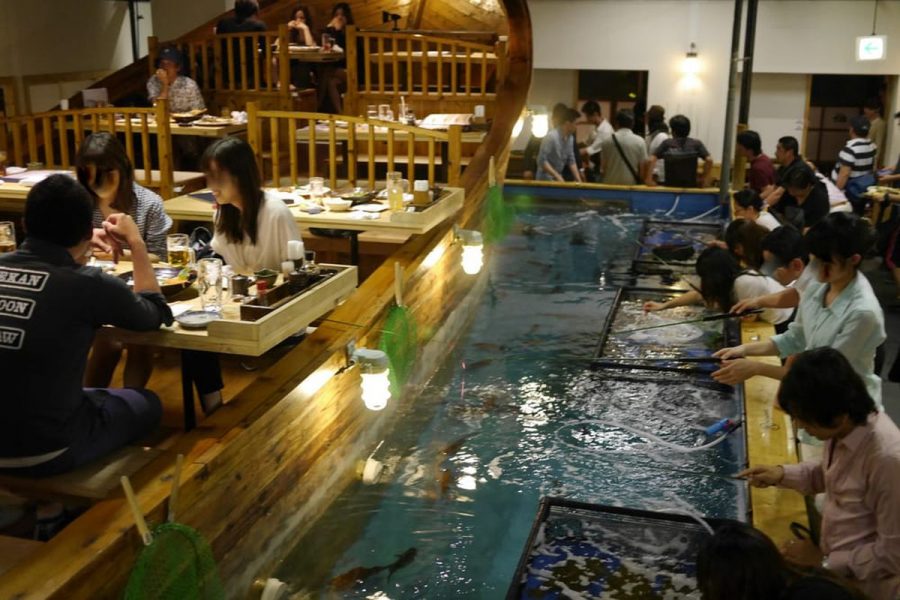 CATCH YOUR OWN DINNER