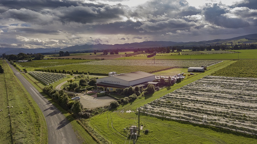 RC GRAPE TO GLASS SHERWOOD 0419 2