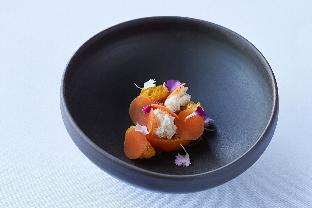 Sidart 2
