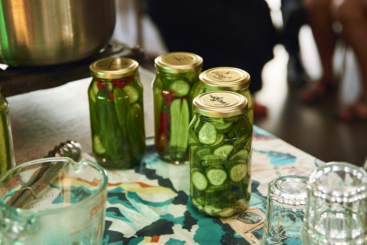 IVDM_McClure's Pickle Event_0 59