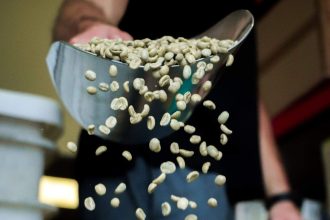 Meet the Roaster: Josh Hapi, Heartland Brew