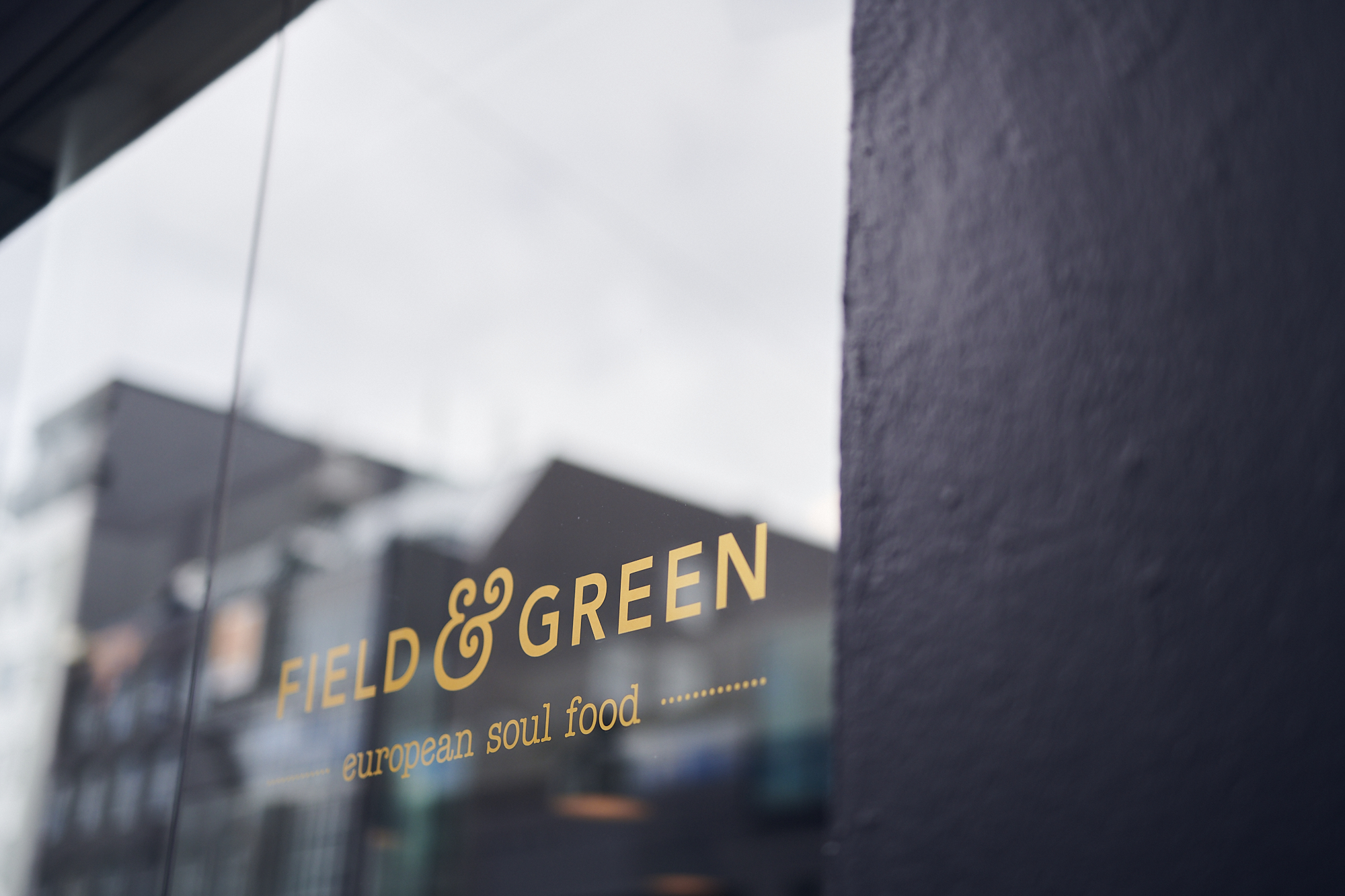 Field_and_Green_Doco_221