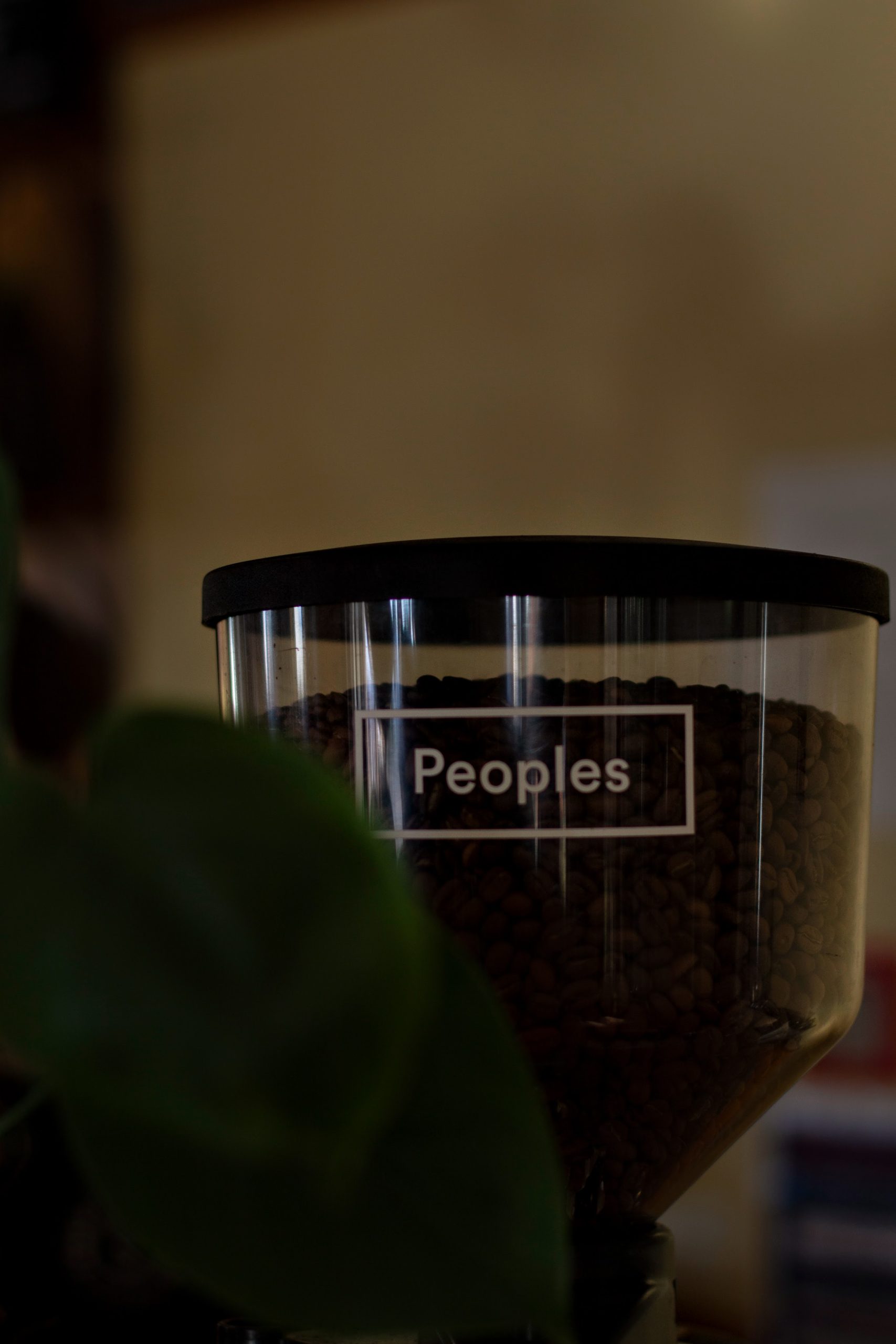meet the barista 10