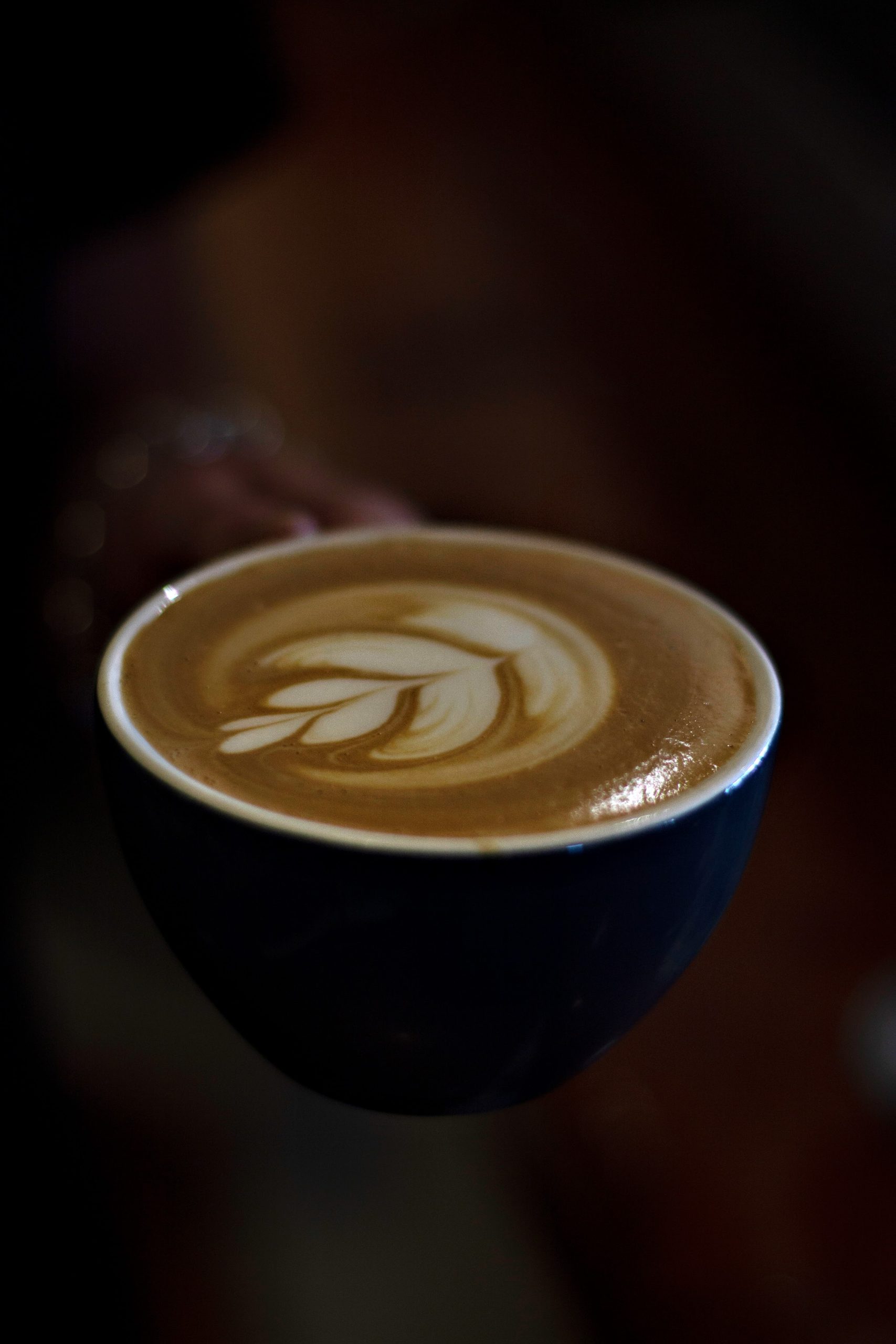 meet the barista08