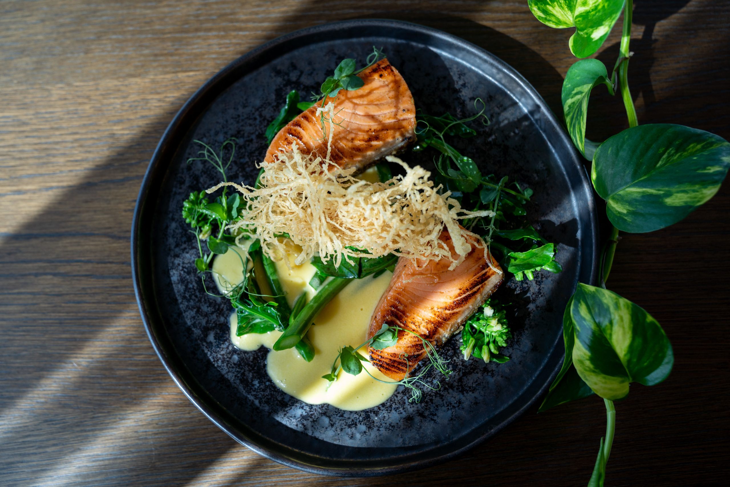 Miso-glazed Ora King Salmon