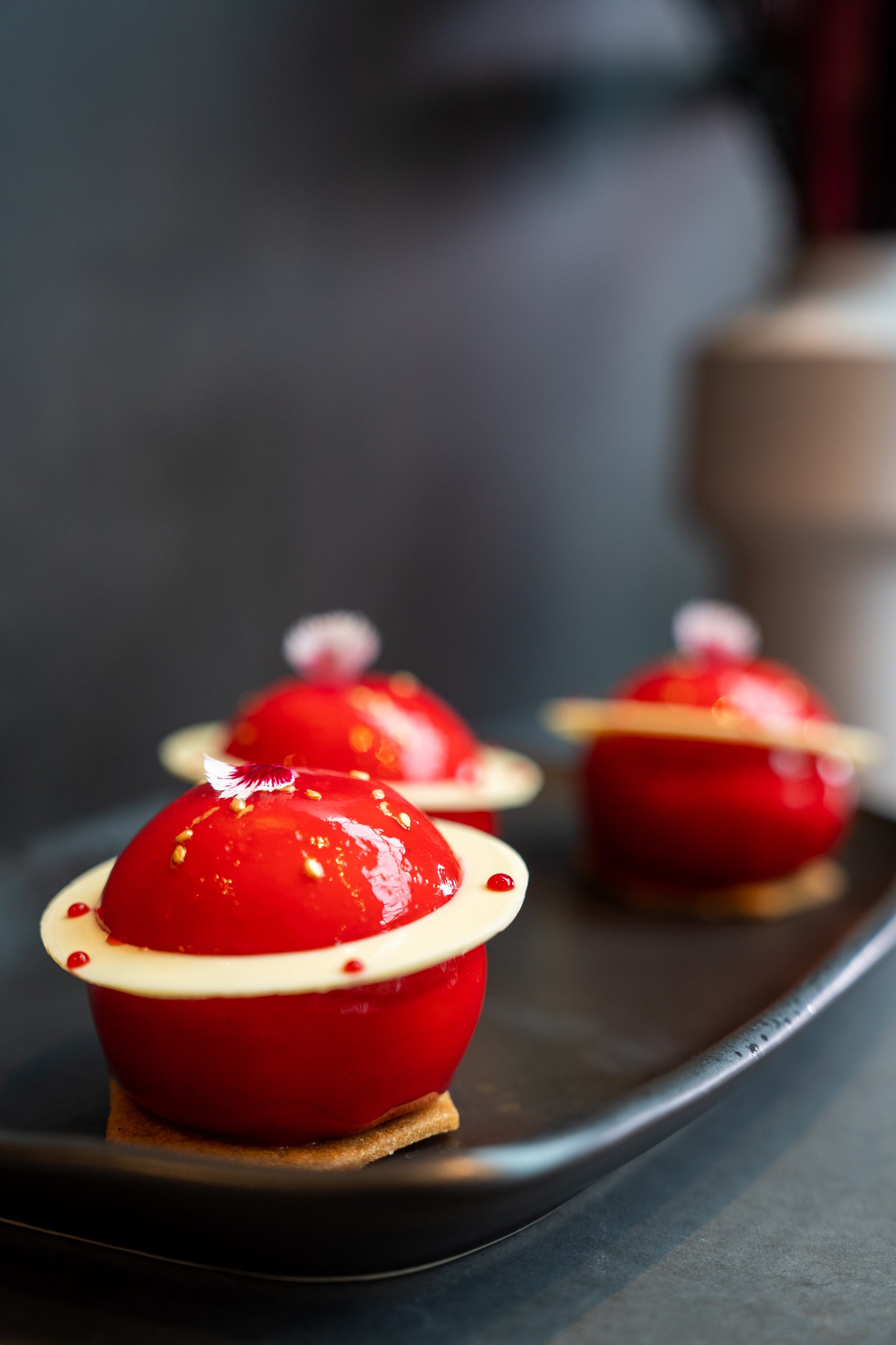 Berry Planet. Vanilla mousse- berry insert-vanilla sable