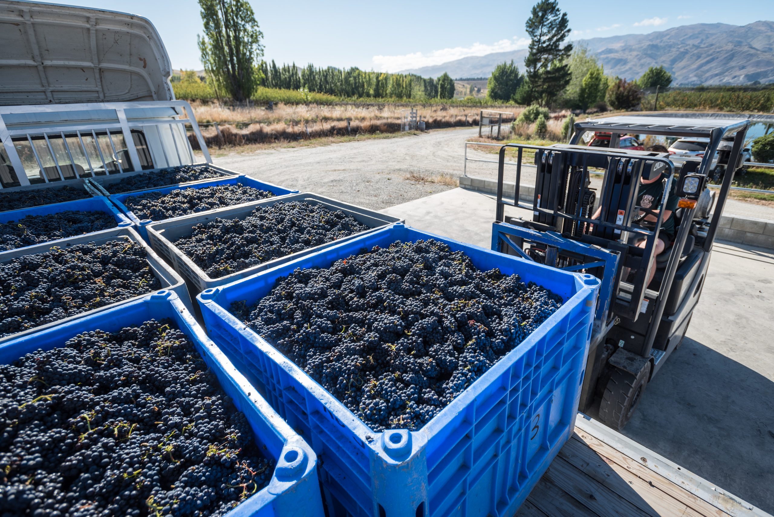 RV_Harvest_22-058