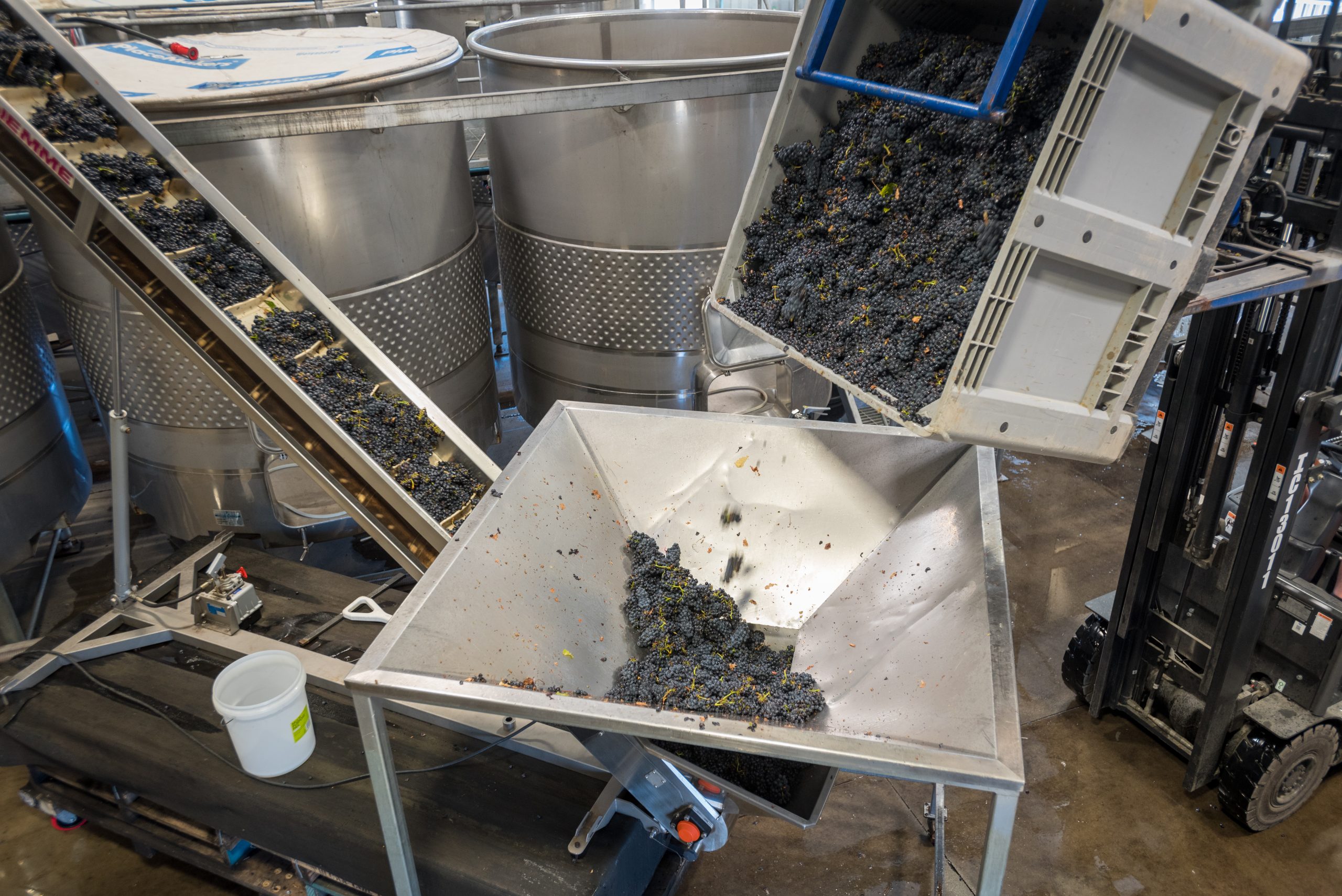 RV_Harvest_22-067