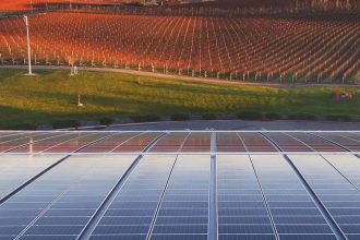 Yealands Wine seeks partnership