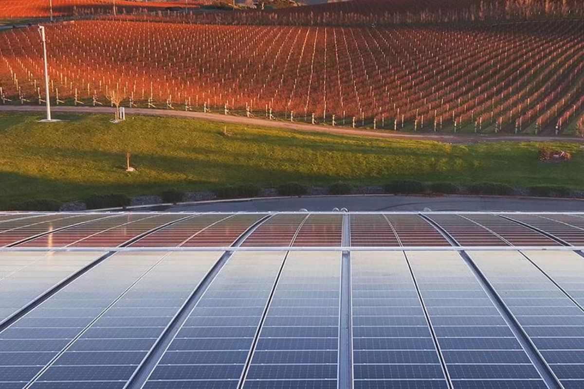 Yealands Wine seeks partnership