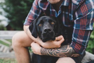black labrador dog being hugged