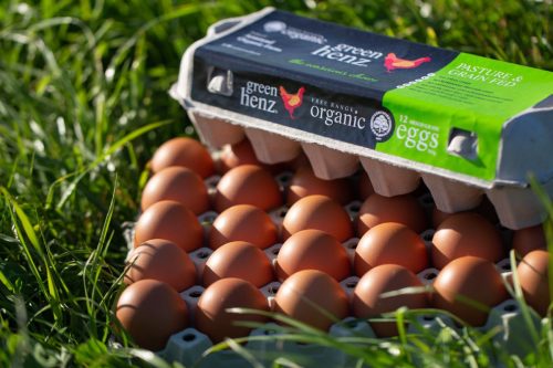 Eggs in carton