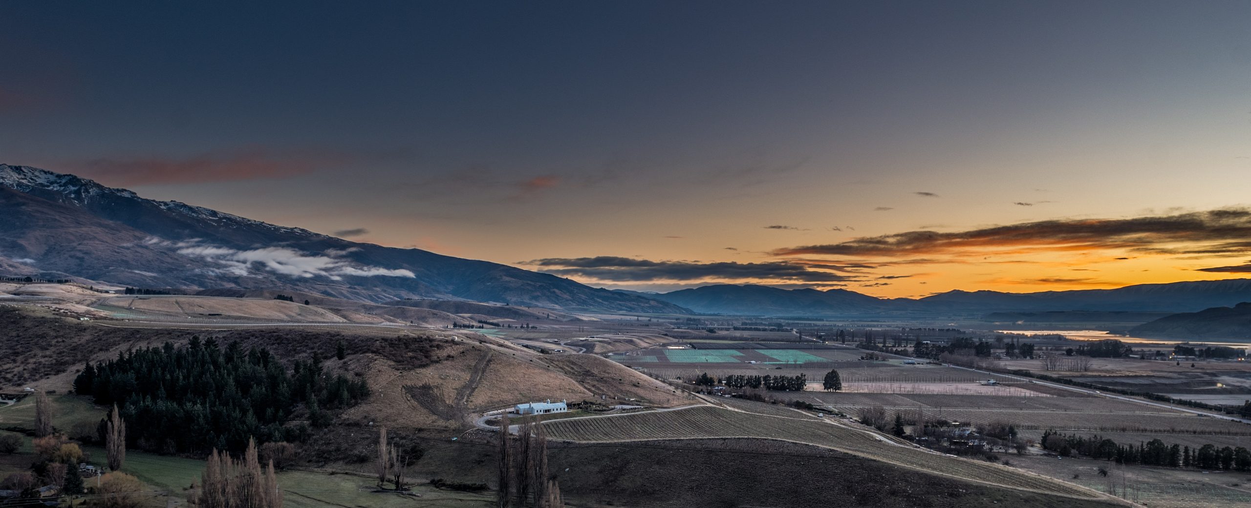 panoramic view vineyard