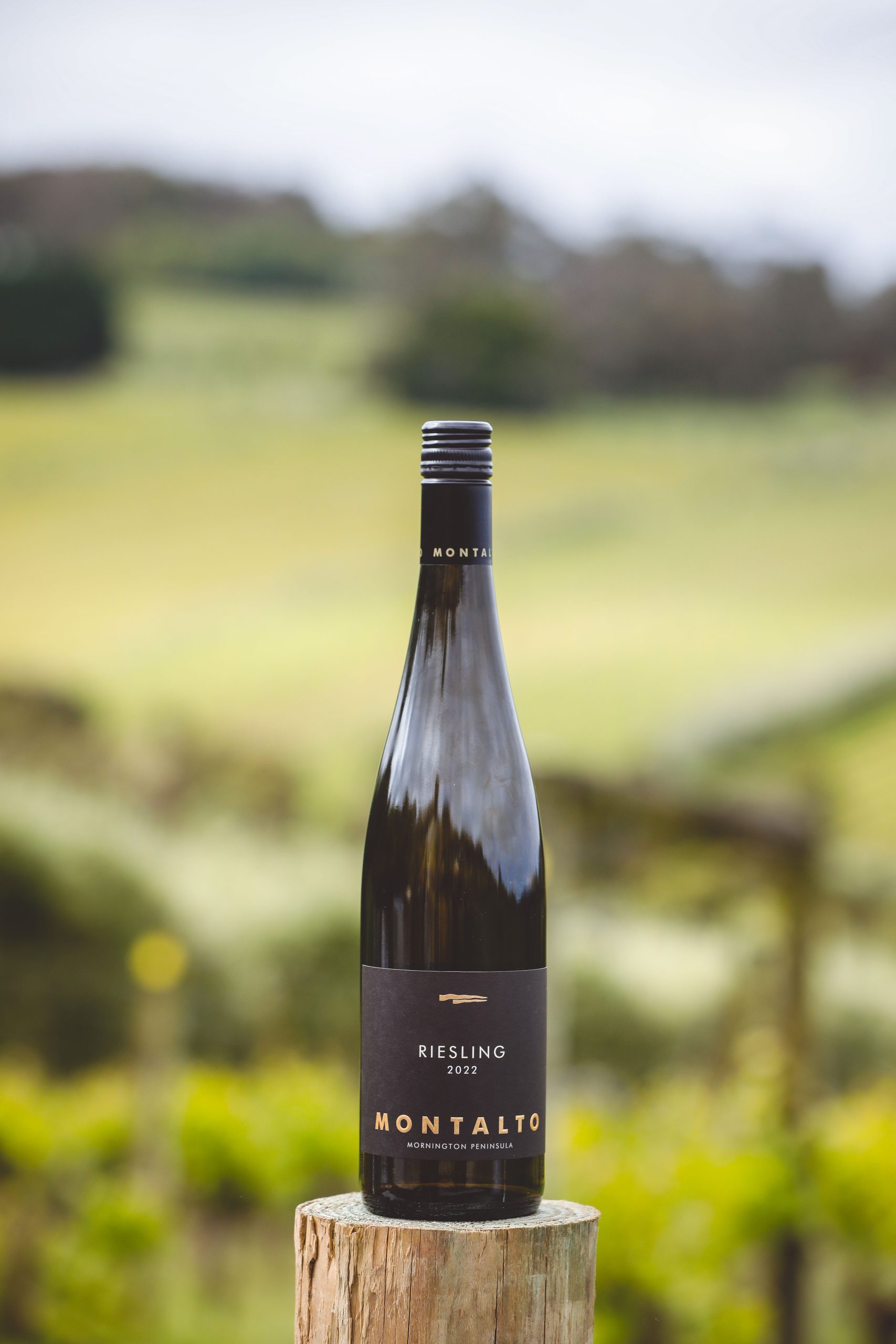 MAGNER MEDIA- NEW RELEASE-4052