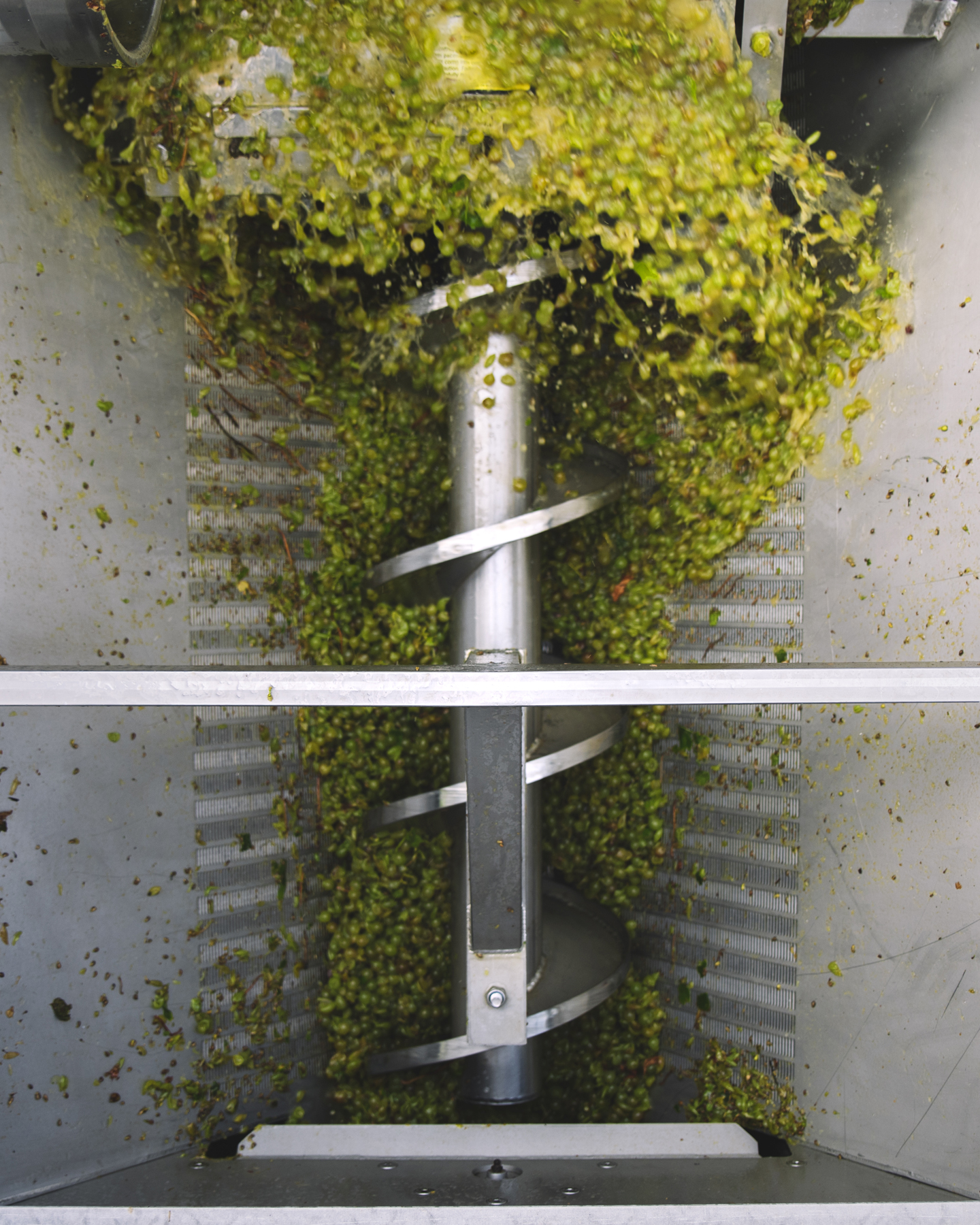 Rapaura Springs_Sauvignon Blanc in the press