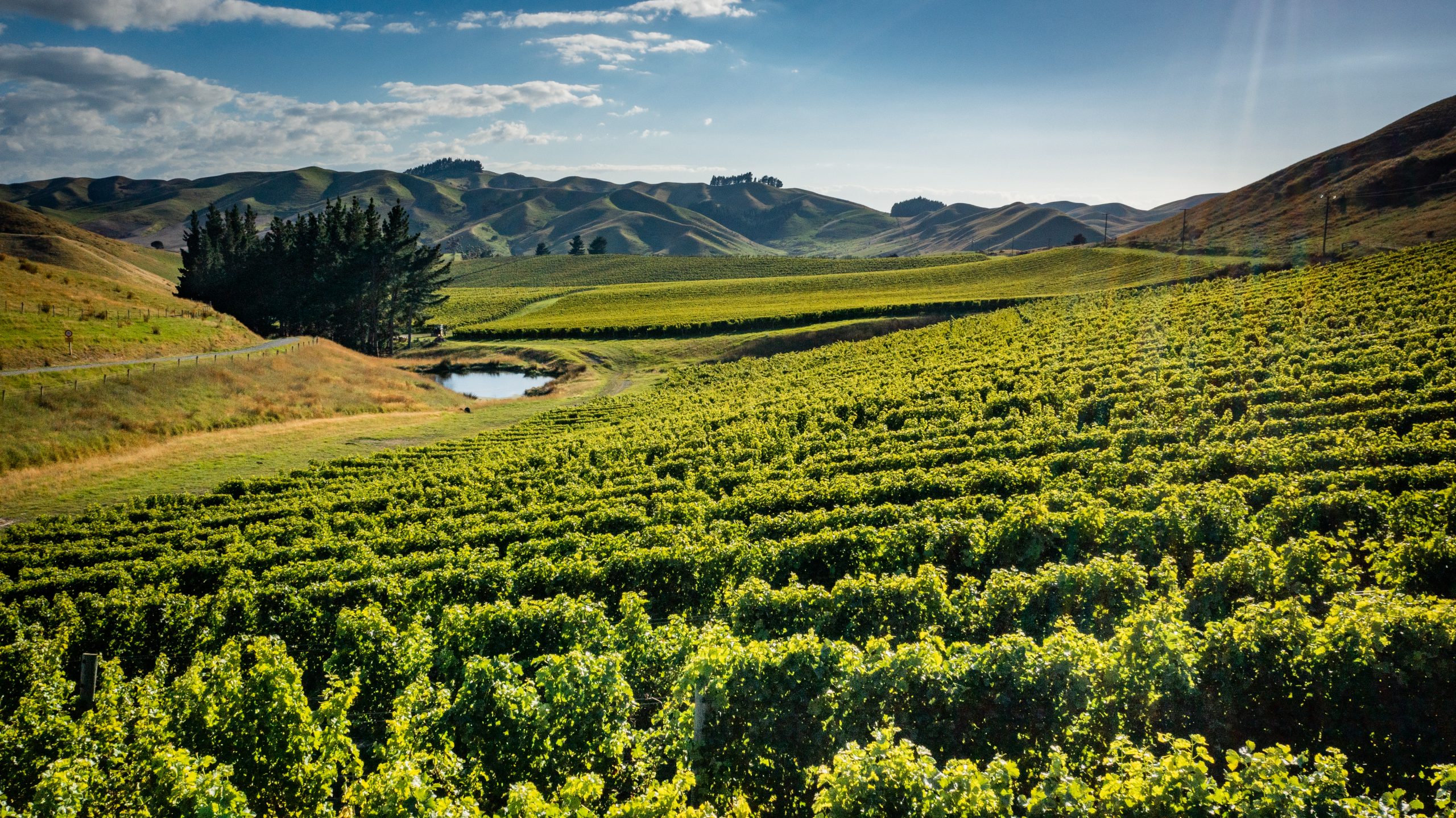 ToiToi Wines_Awatere Valley2