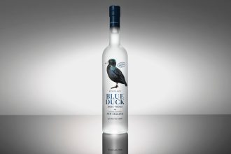 Blue Duck