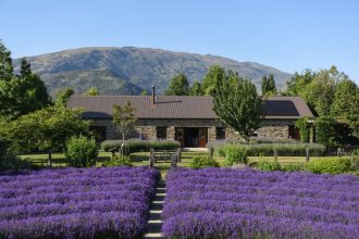 Wanaka Lavender Farm