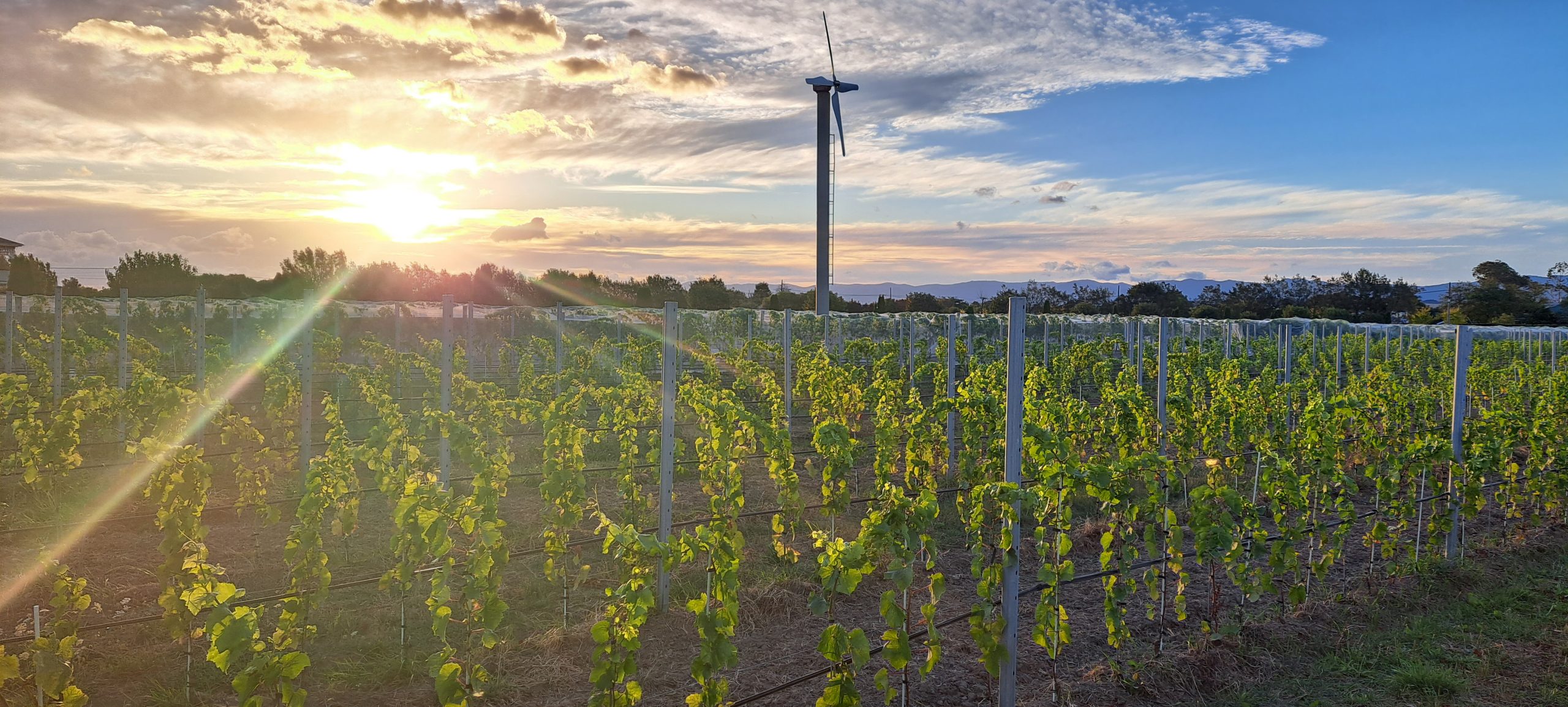 20240215_195728