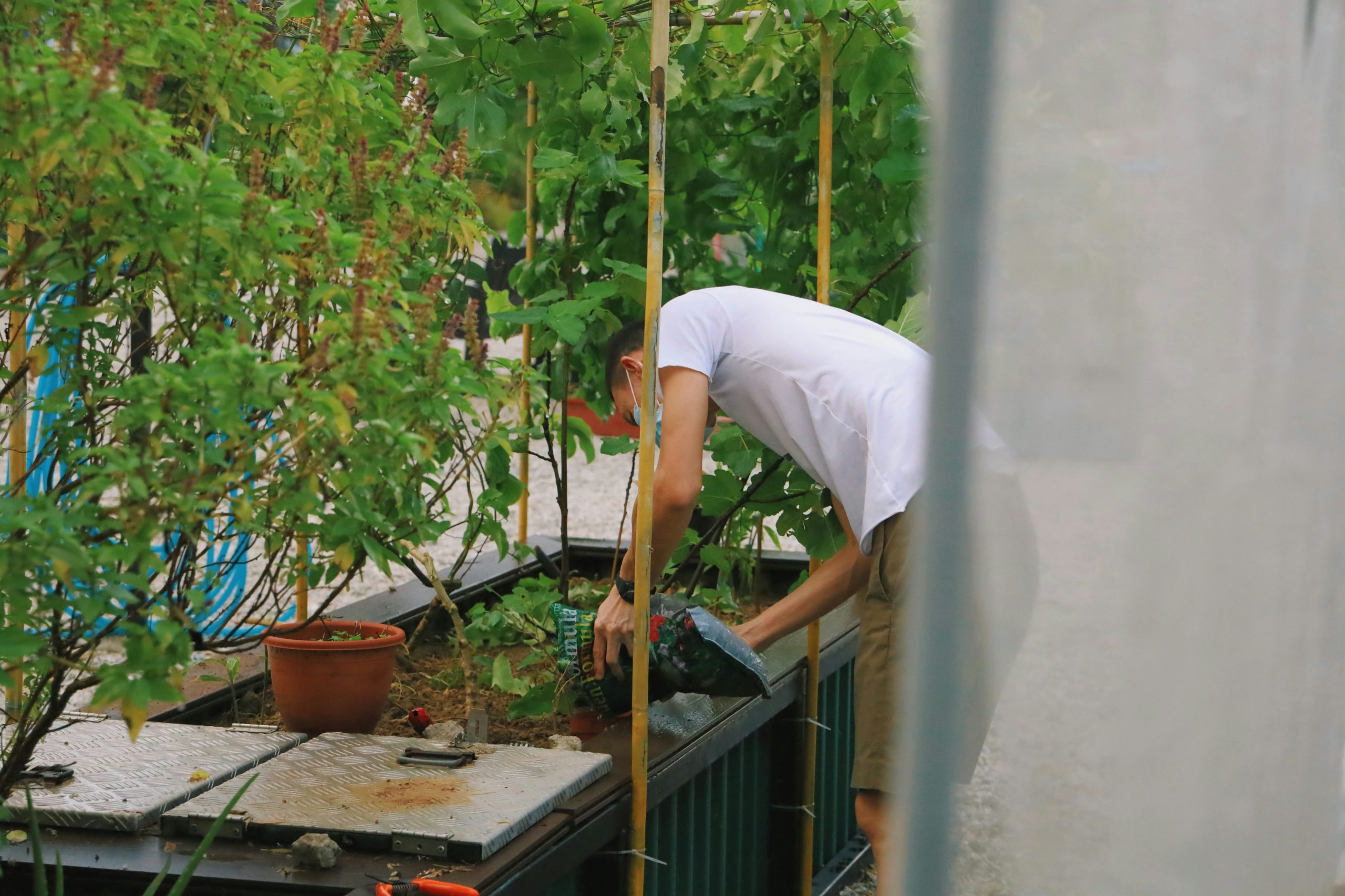 Large Scale Urban Farming