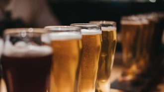 Lark Brewing Co.