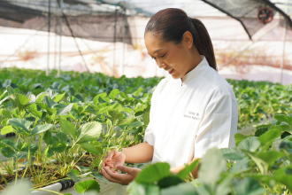 Culinary Roots