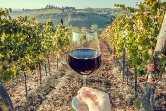 Organic Wine