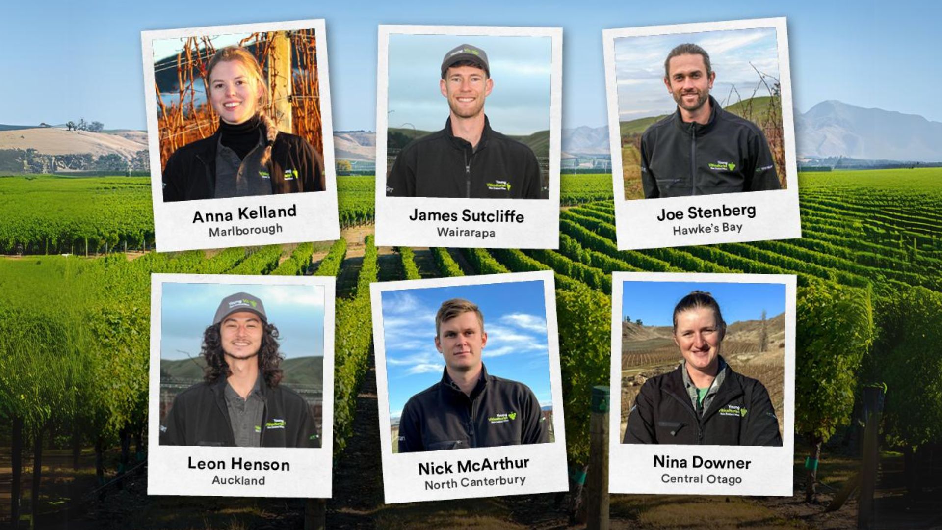 young viticulturist