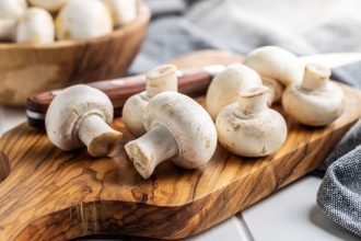 fungi