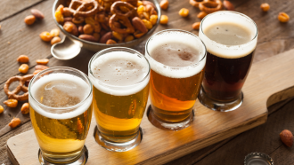 nz ale trail