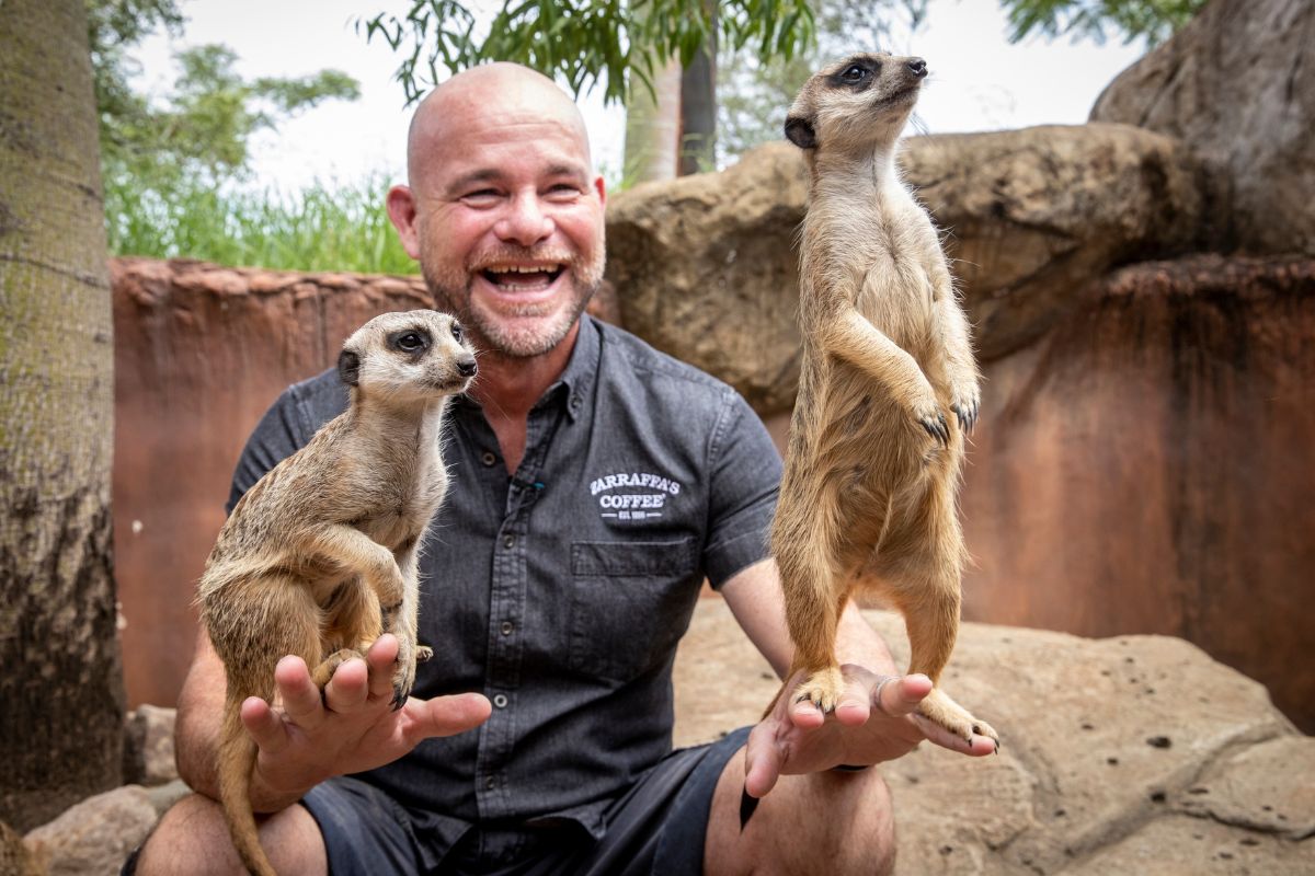wildlife warriors