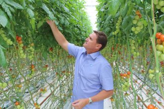 Sustainable Crop Growth For NZ Hothouse