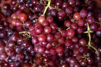 winegrape crush