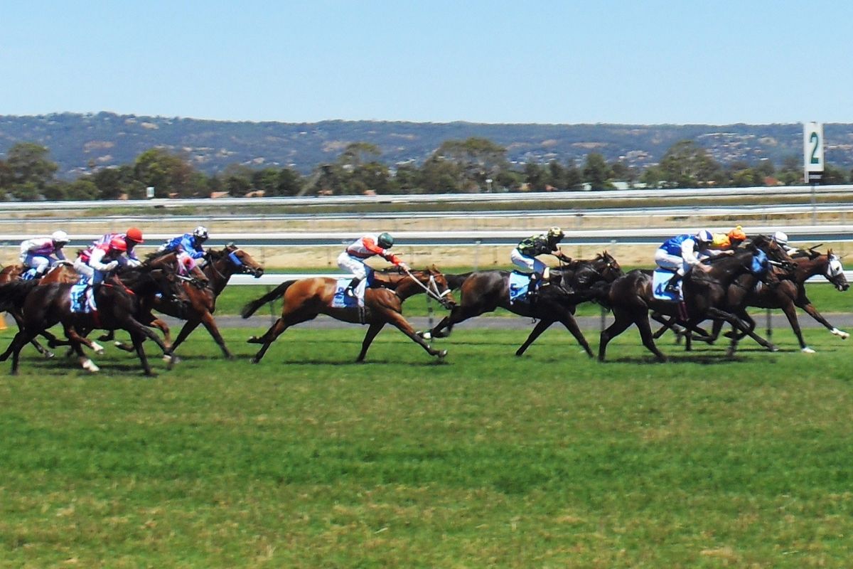 melbourne cup