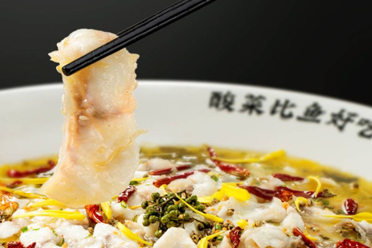 taier sichuan cuisine