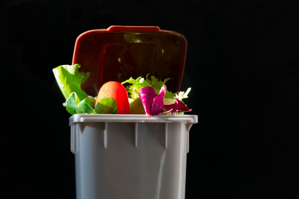 food waste