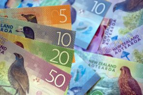 Budget Requests for Further Support